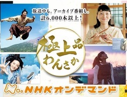【紅白2019動画が無料で見れる!】見逃したNHK紅白歌合戦を視聴する方法